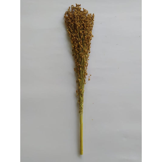 FHBE -   Besenhirse (sorghum durra), 200g