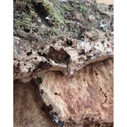 BW025  -  Korkrinden-Stücke