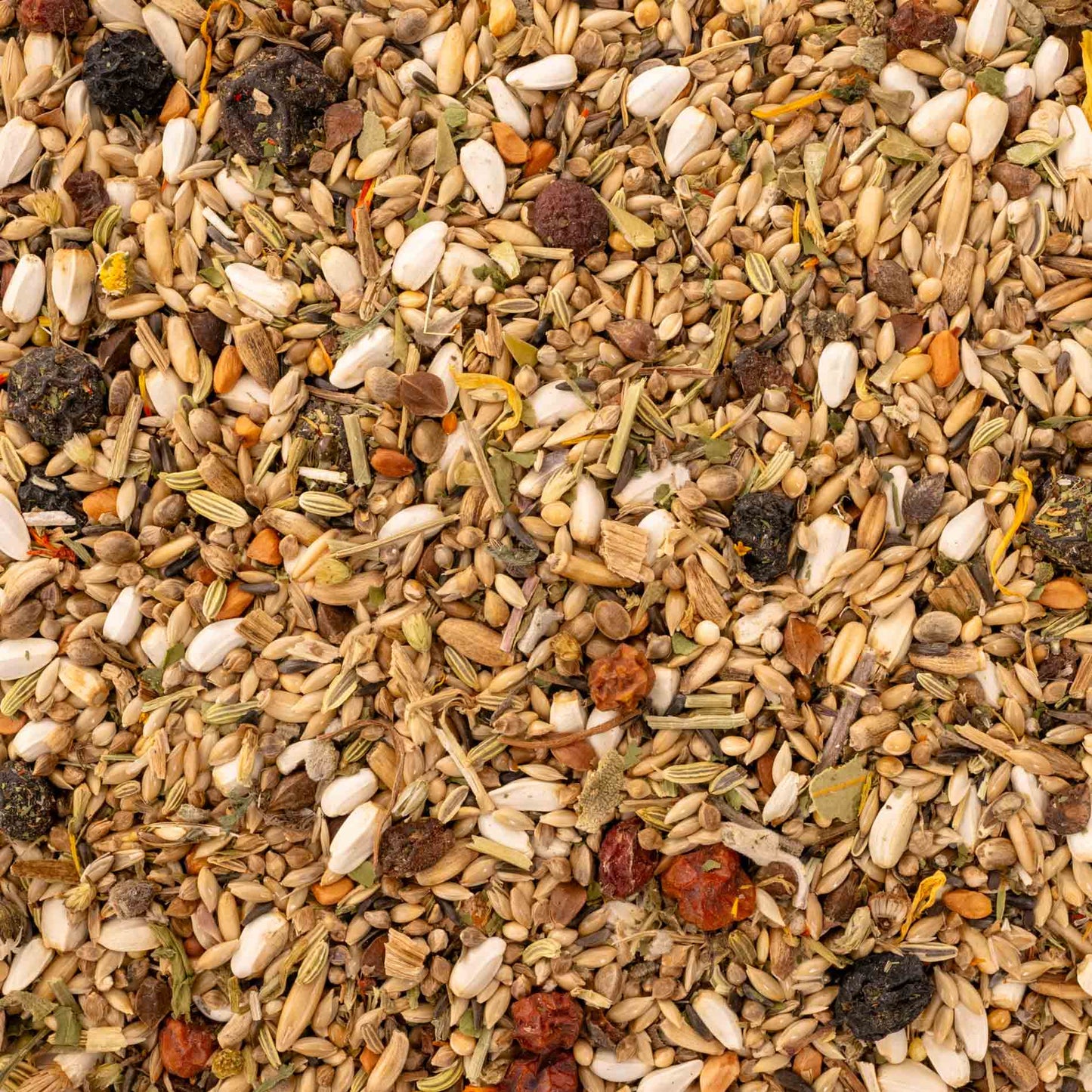Kräuterapotheke Agaporniden – hochwertiges Futter für Agaporniden mit Kräutern & Beeren