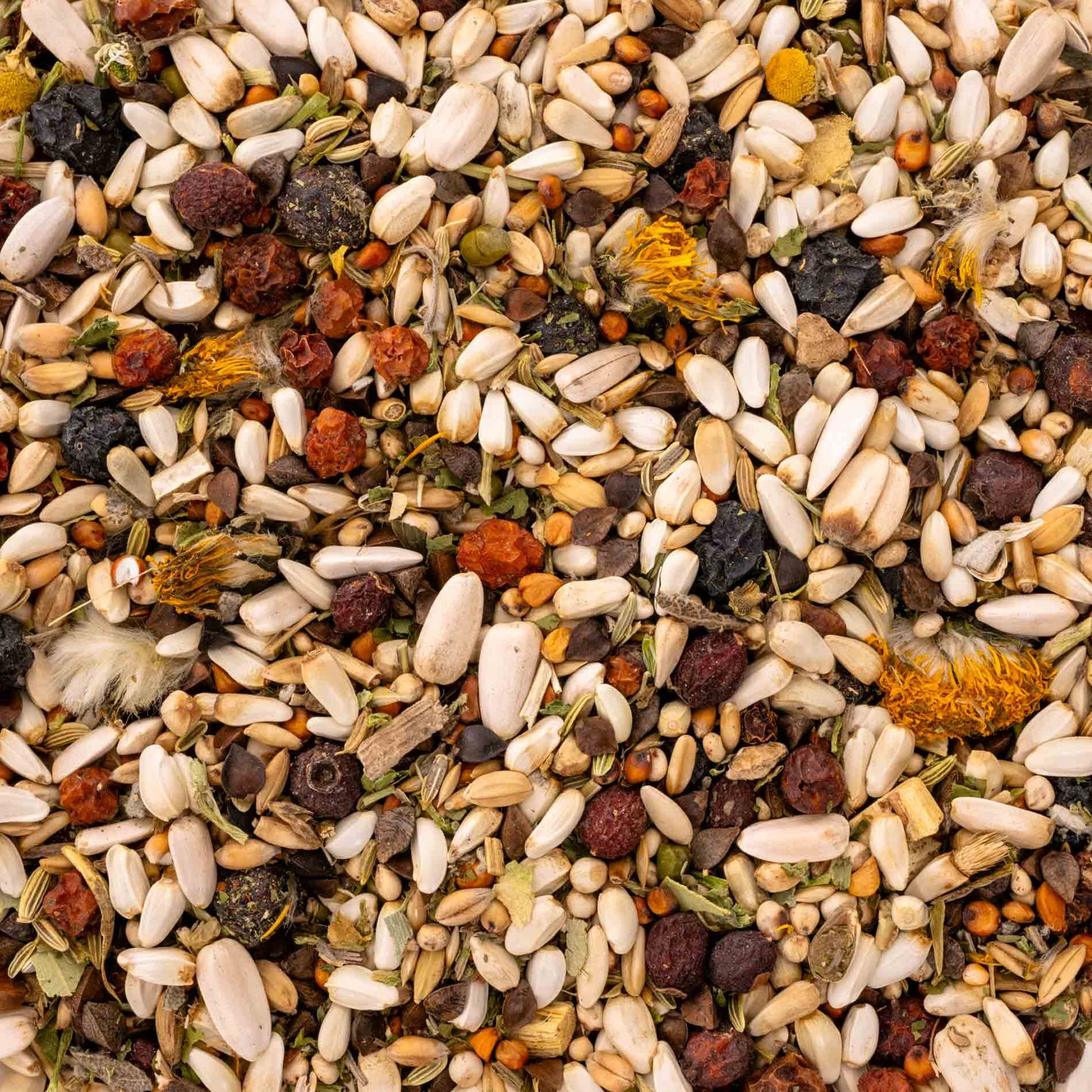 Kräuterapotheke Amazonen & Kakadus – Papageienfutter mit gesunden Kräutern