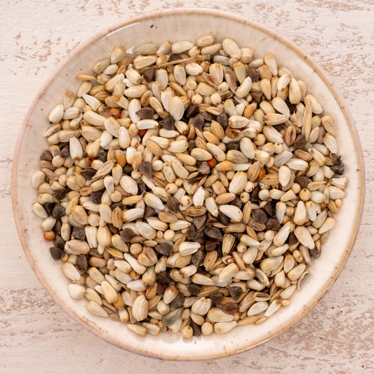 Amazonen Vital – fettreduziertes Papageienfutter für Amazonen & Kakadus