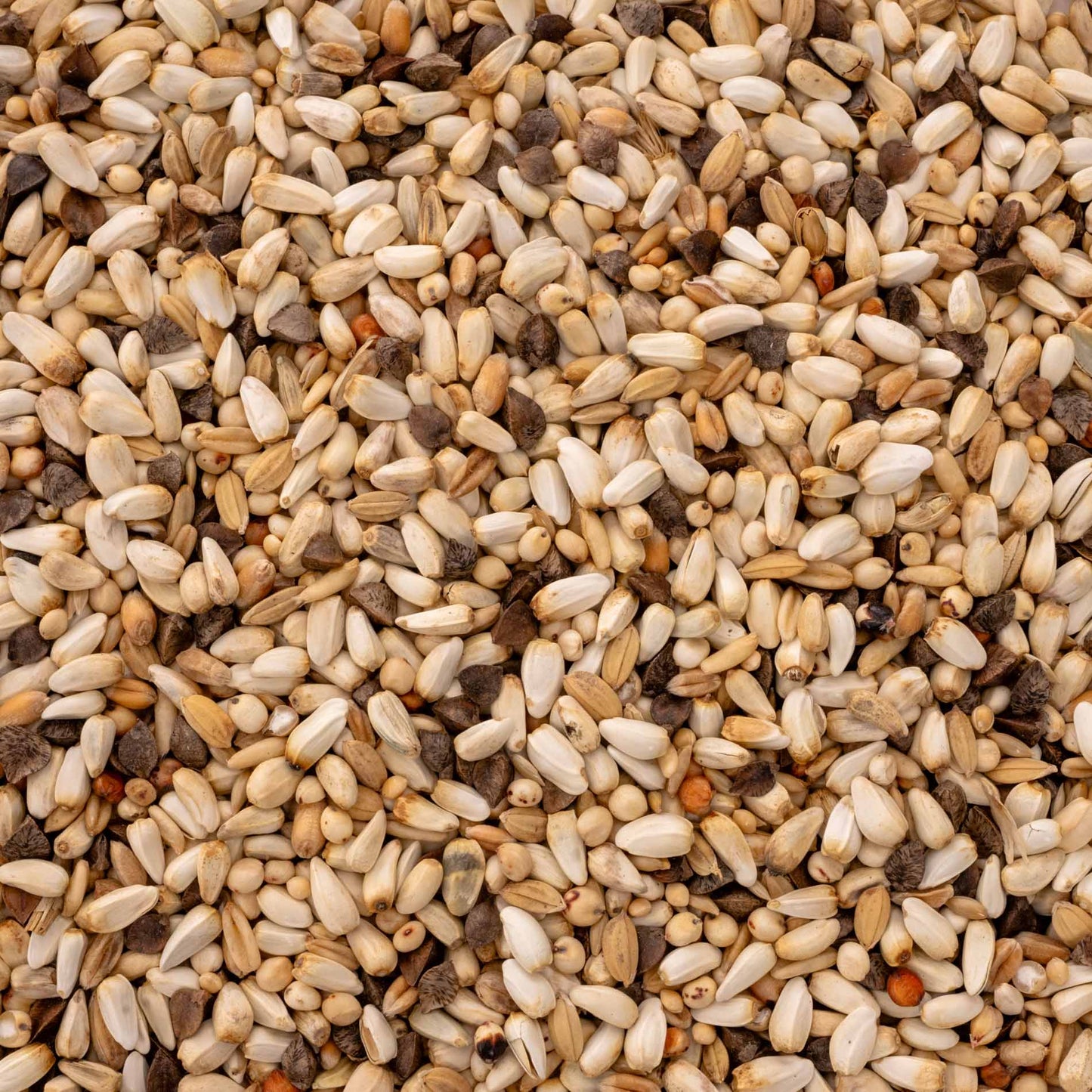 Amazonen Vital – fettreduziertes Papageienfutter für Amazonen & Kakadus