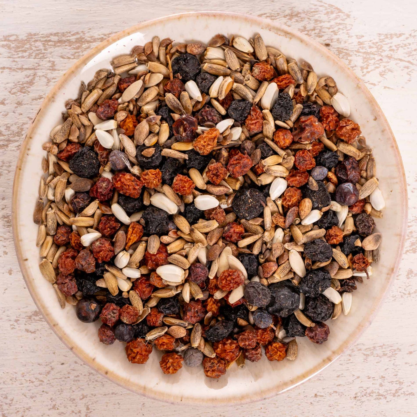 Baumsaat Spezial – Sämereien- & Beerenmischung – natürliche Ergänzung für Papageien &  größere Sittiche