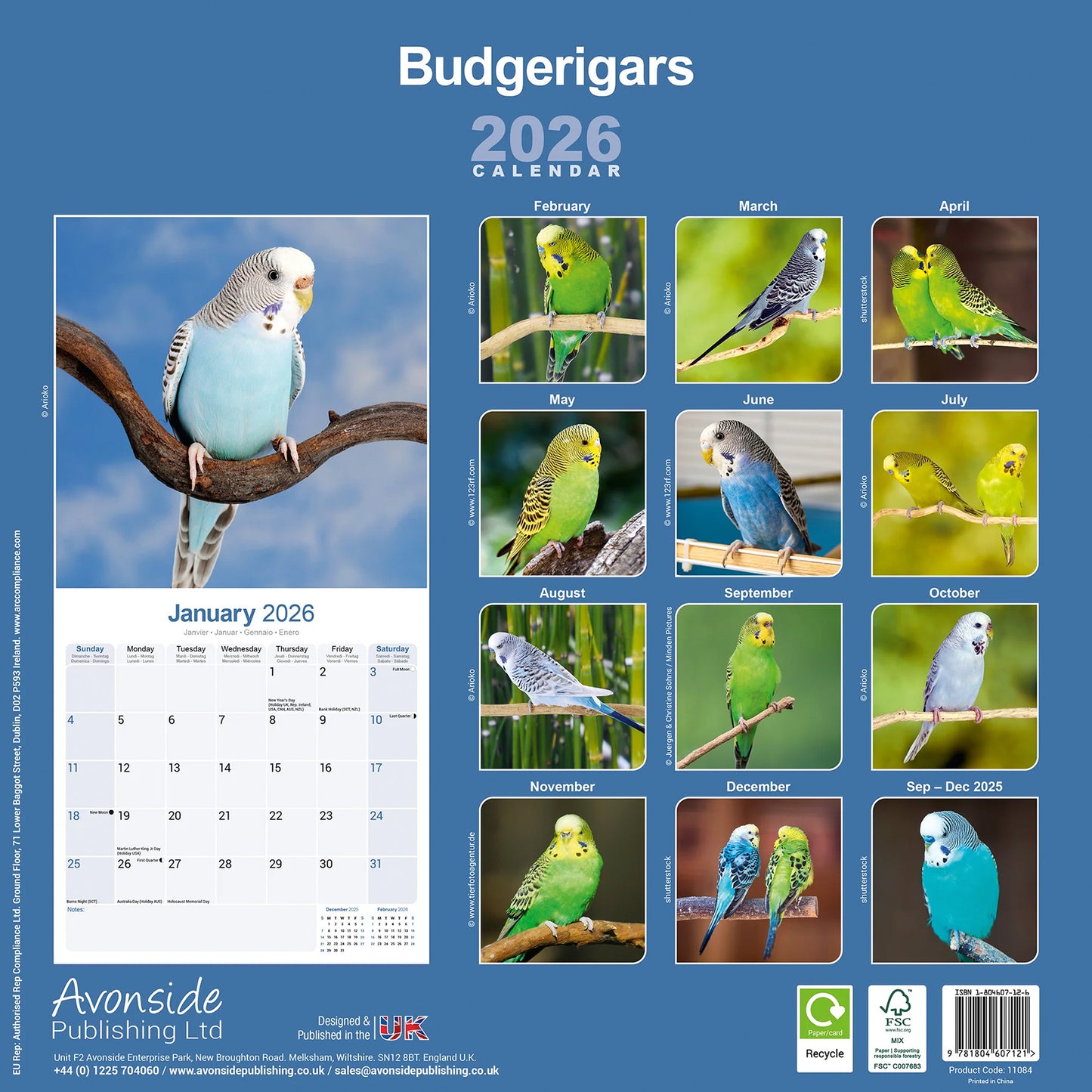 Kalender Wellensittiche 2026
