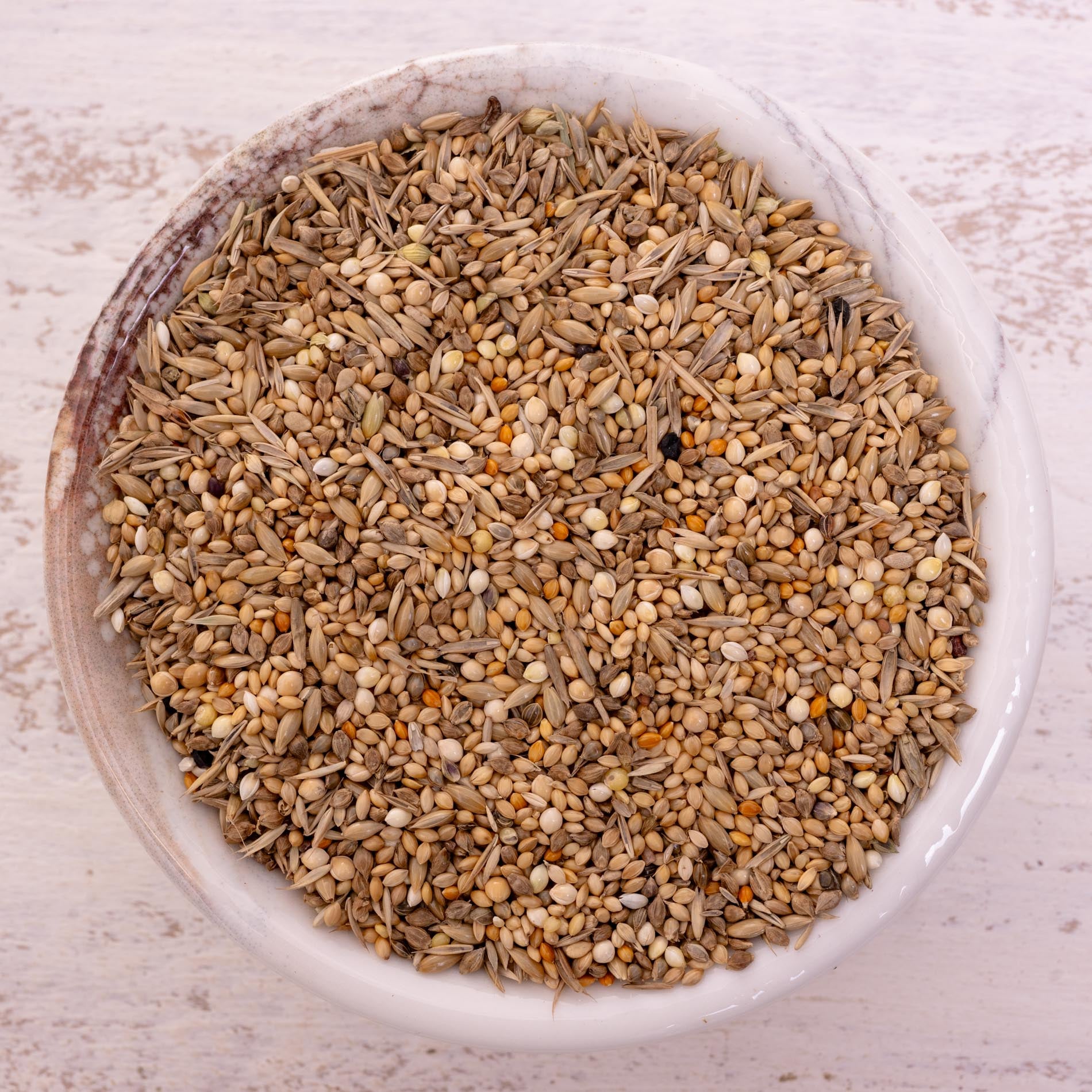 Exotenfutter – ausgewogene Körnermischung für kleine Exoten