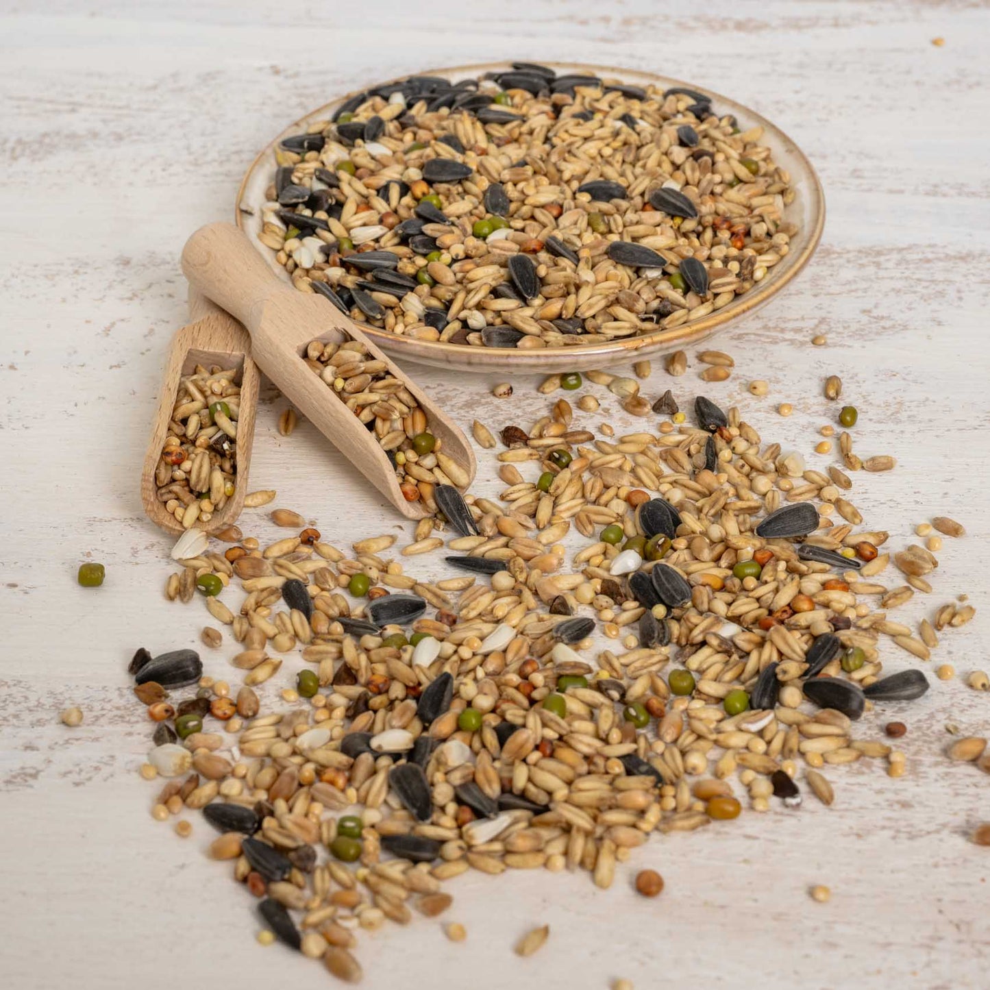 Keimfutter für Großsittiche