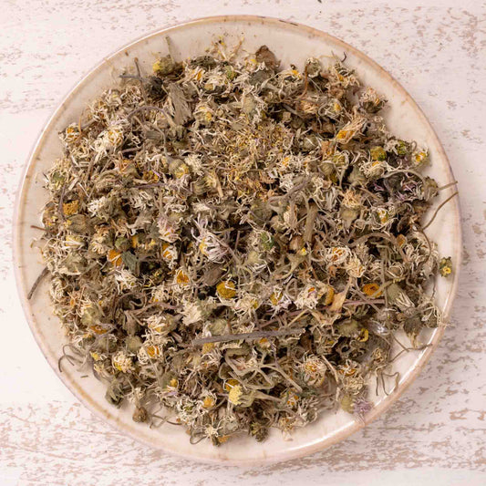 Gänseblümchen-Blüten, getrocknet – Papageienfutter-Zusatzfuttermittel