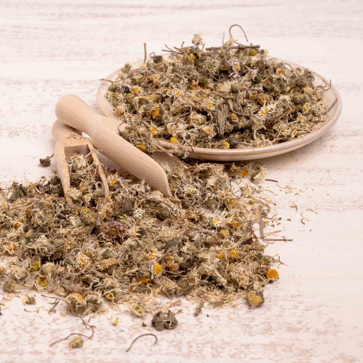 Gänseblümchen-Blüten, getrocknet – Papageienfutter-Zusatzfuttermittel