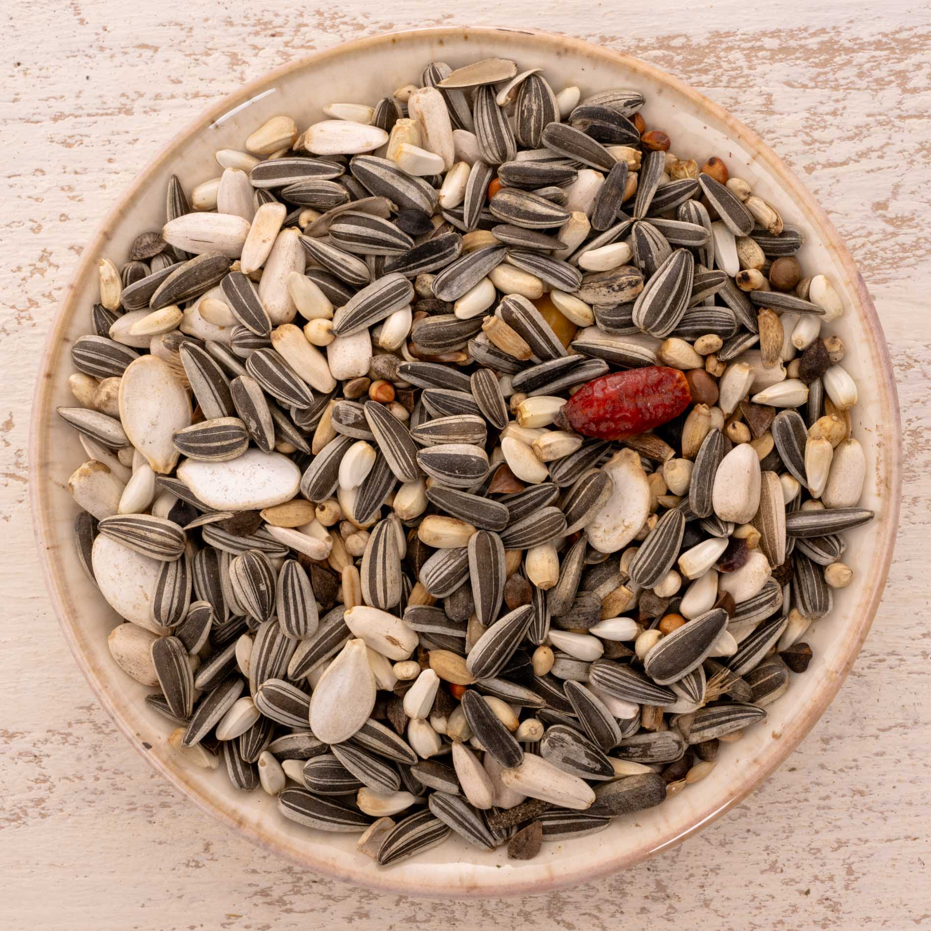 Graupapagei Spezial Papageienfutter – Premium-Körnerfutter naturbelassen