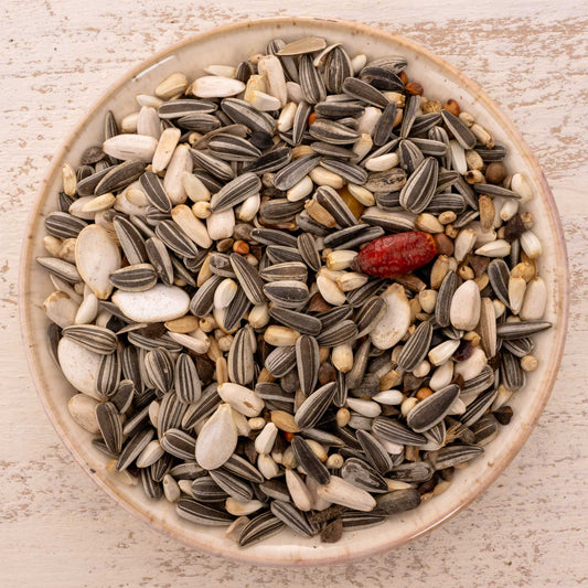 Graupapagei Spezial Papageienfutter – Premium-Körnerfutter naturbelassen