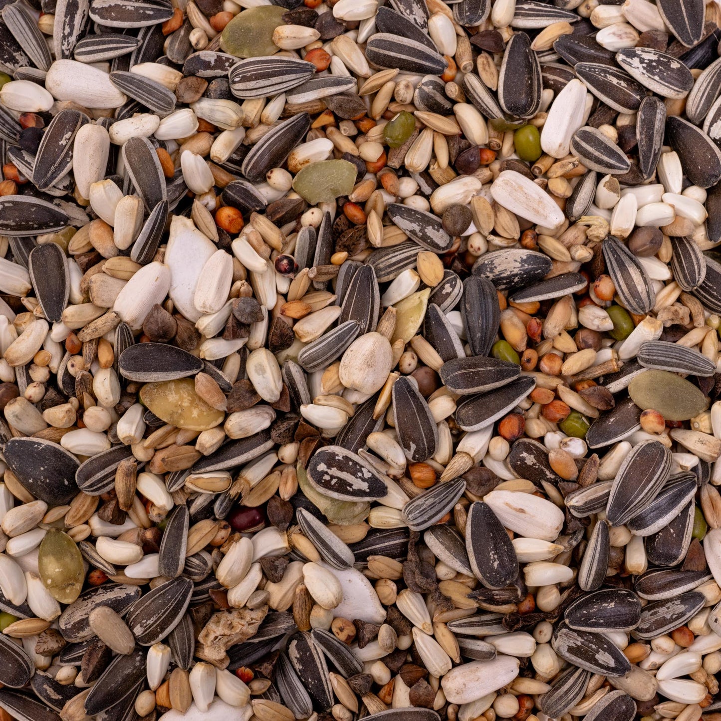 Graupapagei Spezial 2 – Papageienfutter und Premium-Körnerfutter für Graupapageien & Aras