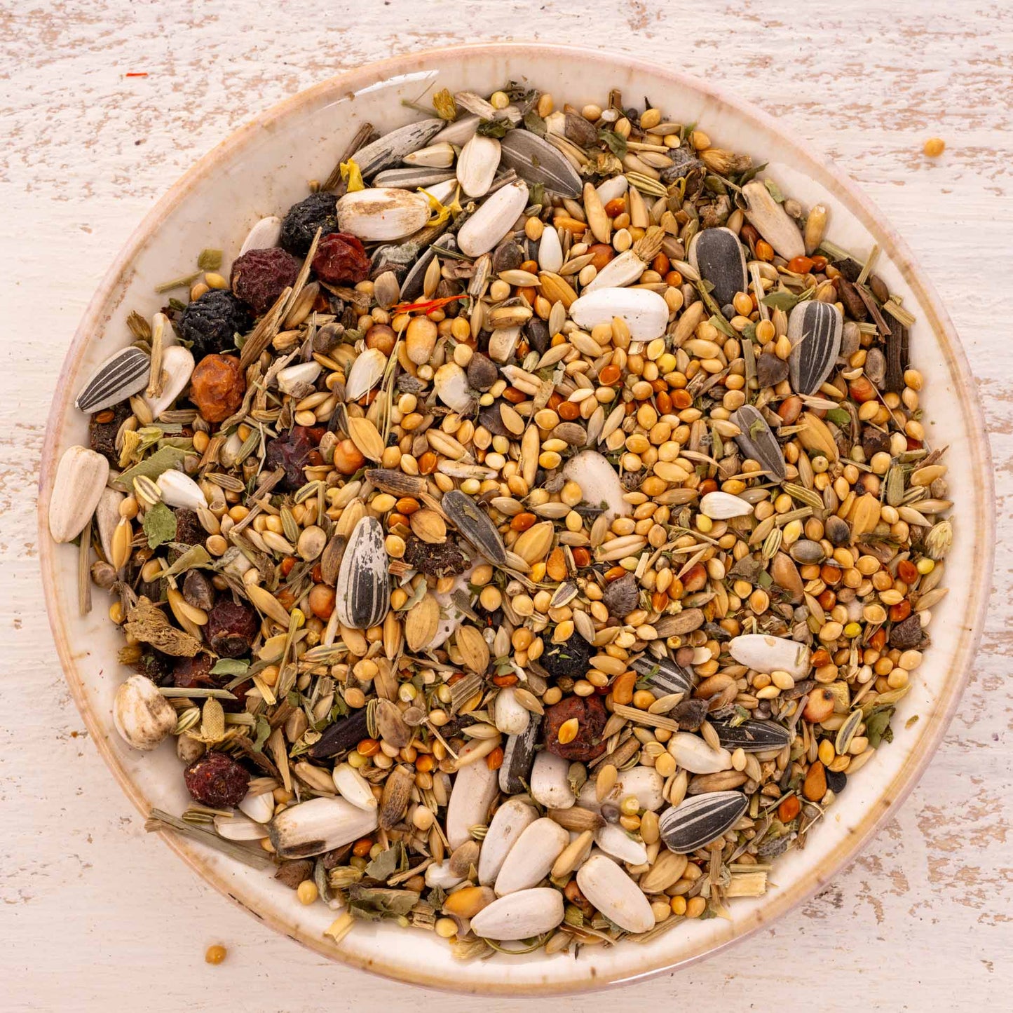 Kräuterapotheke Großsittich – hochwertiges Großsittichfutter und Körnermischung mit Kräutern & Beeren