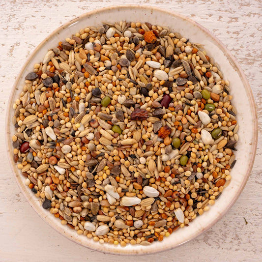 Großsittich Spezial 3 – vielfältige Körnermischung ohne Sonnenblumen