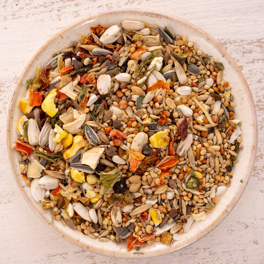 Gemüsegarten Großsittiche – hochwertiges Großsittichfutter und Körnermischung mit Gemüse