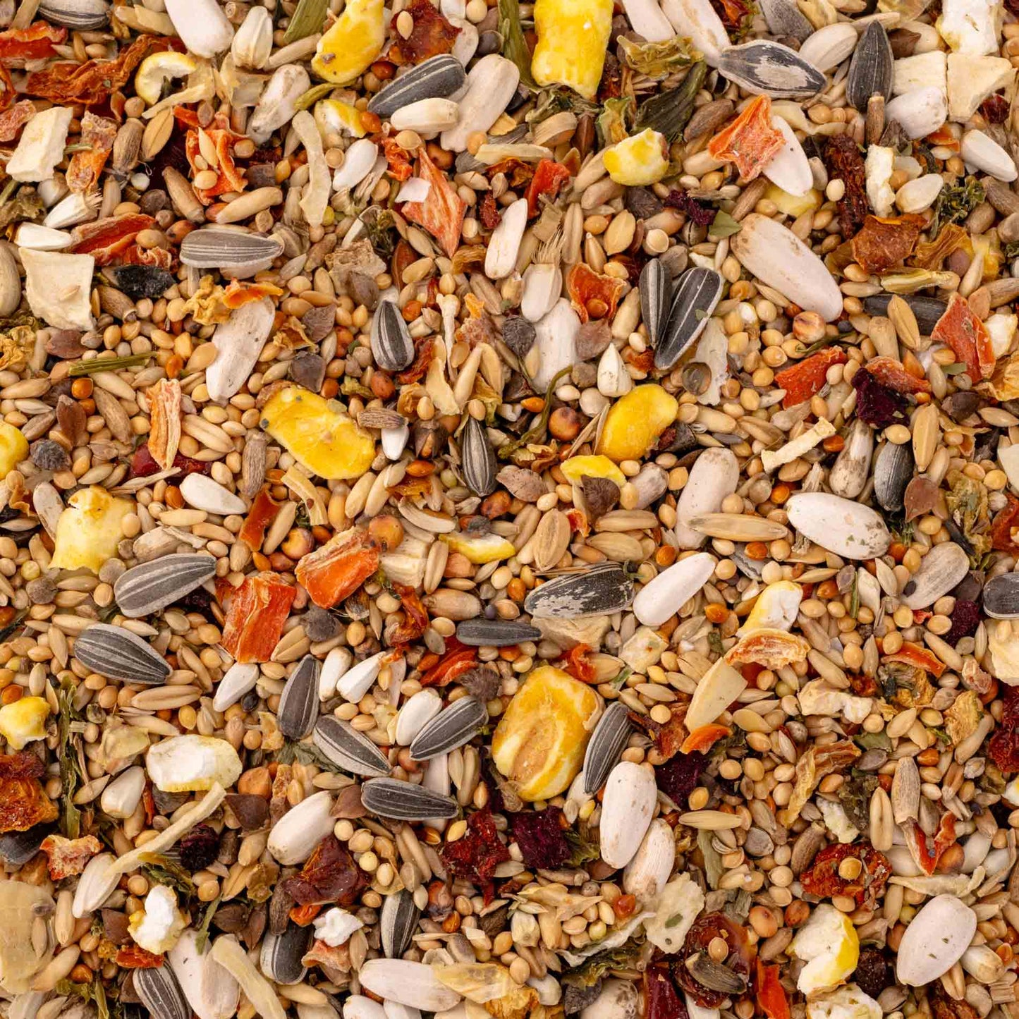 Gemüsegarten Großsittiche – hochwertiges Großsittichfutter und Körnermischung mit Gemüse