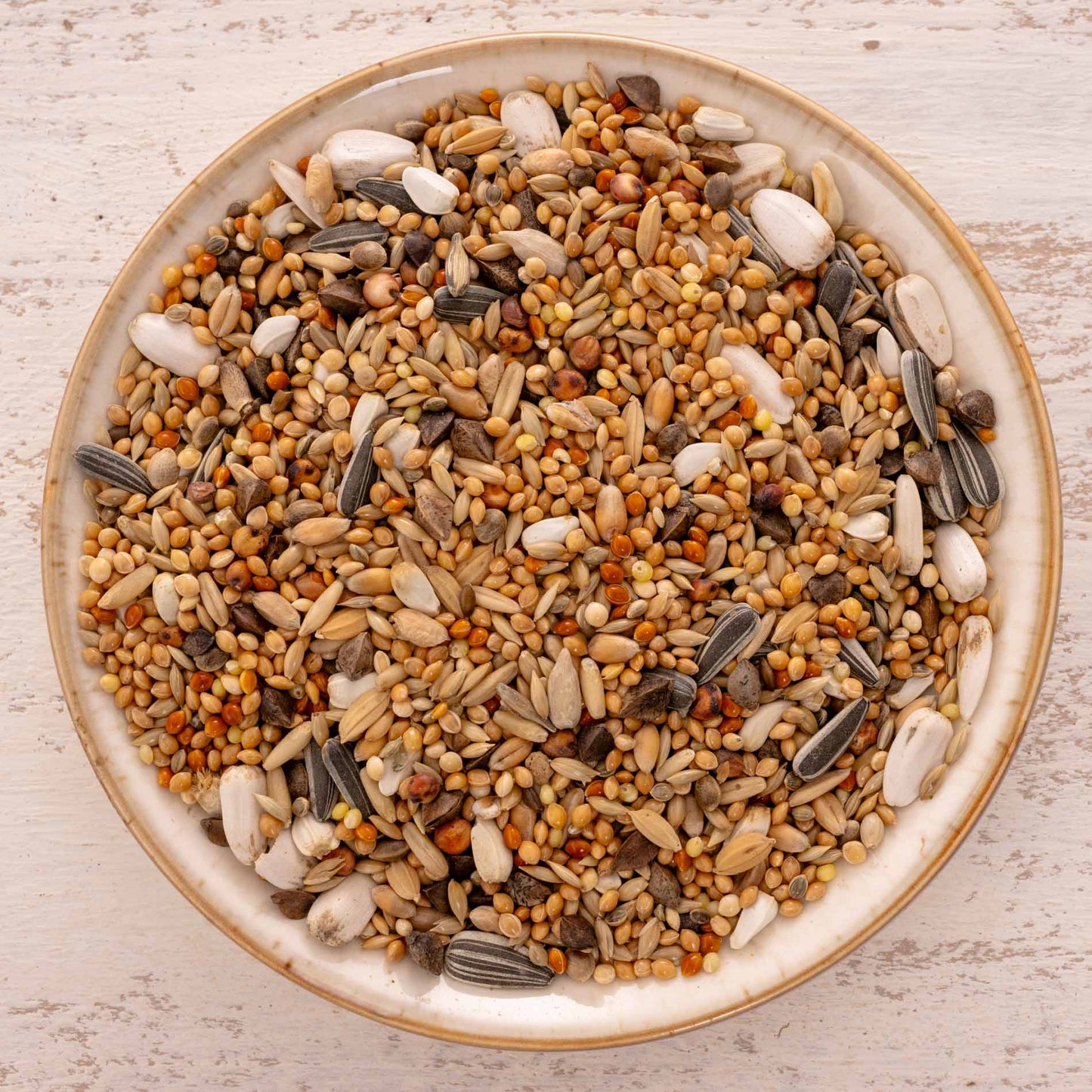 Papageienfutter für alle Großsittiche – hochwertige Premium-Körnermischung