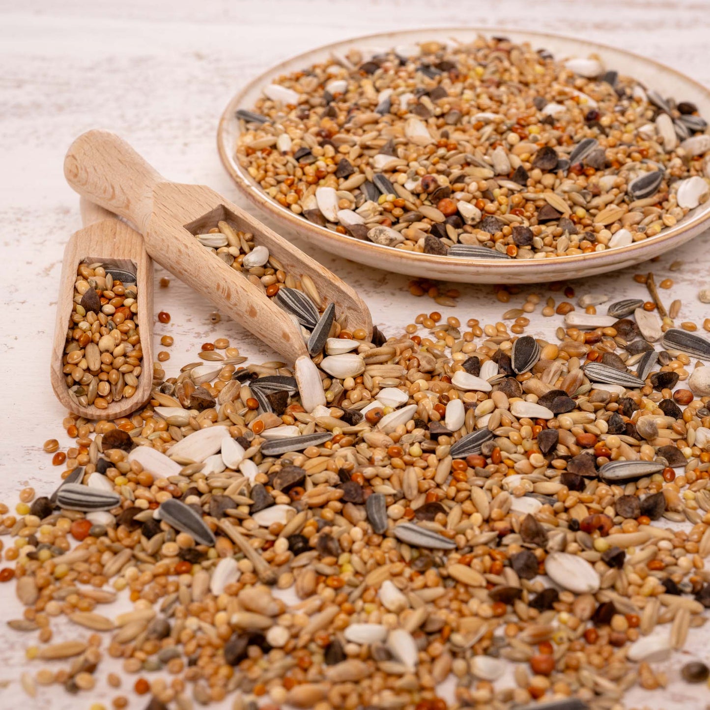 Saatenmischung für alle Großsittiche – hochwertige Premium-Körnermischung