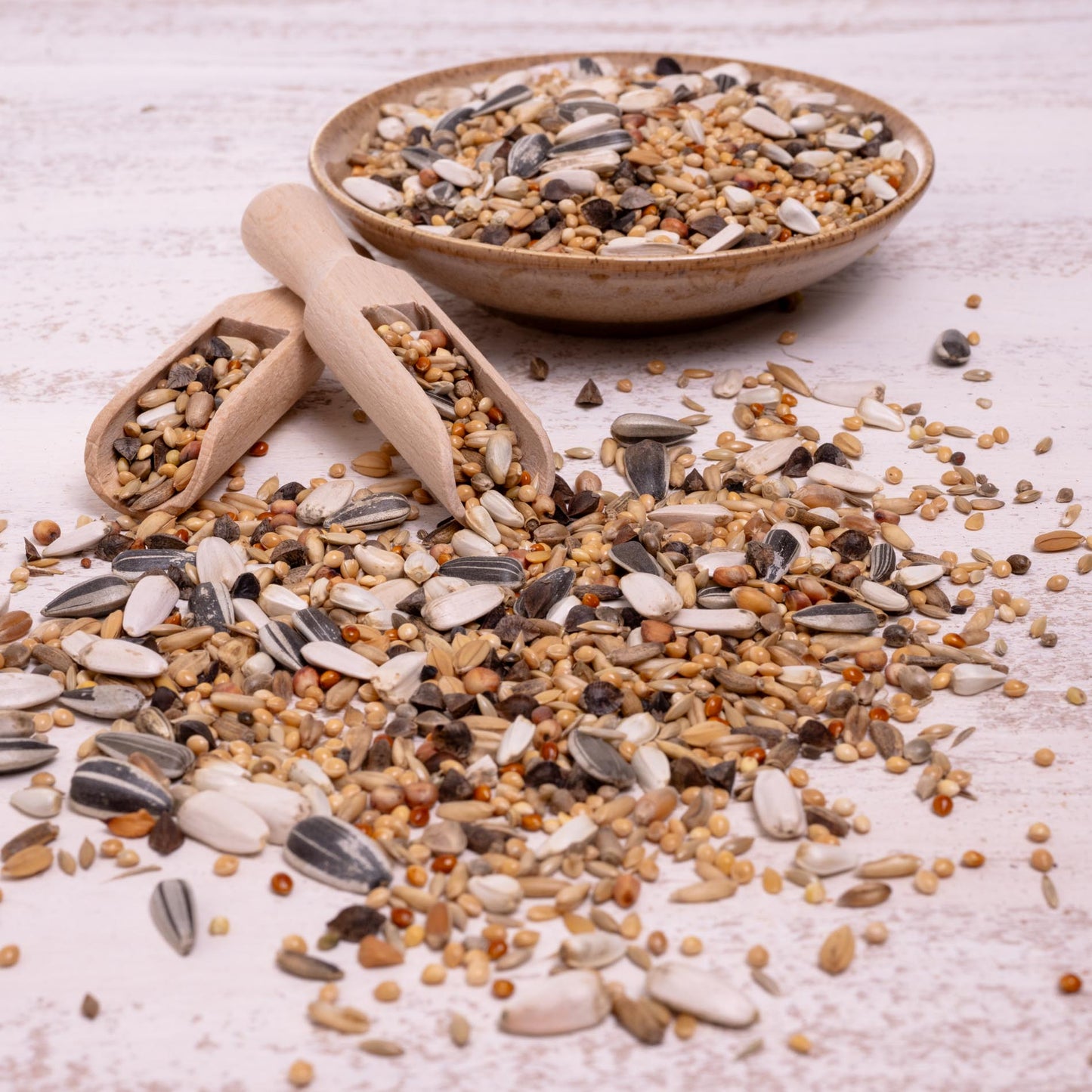 Großsittich Spezial 2 – vielfältige Körnermischung