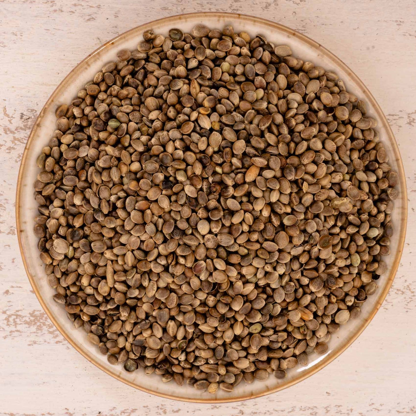 Hanf – Papageienfutter