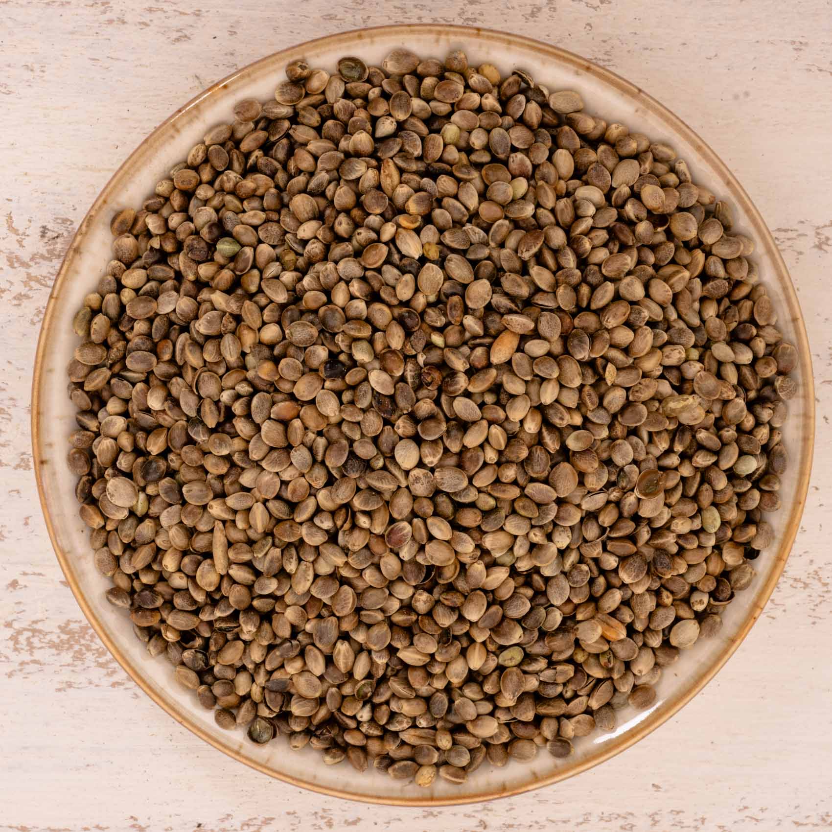 Hanf – Papageienfutter