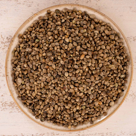 Hanf – Papageienfutter