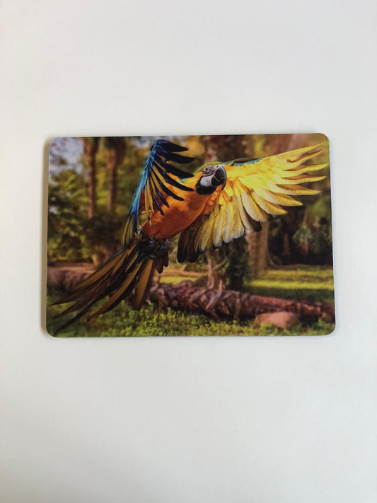 TK06  -   Mousepad, Motiv "Gelbbrustara" (fliegend)