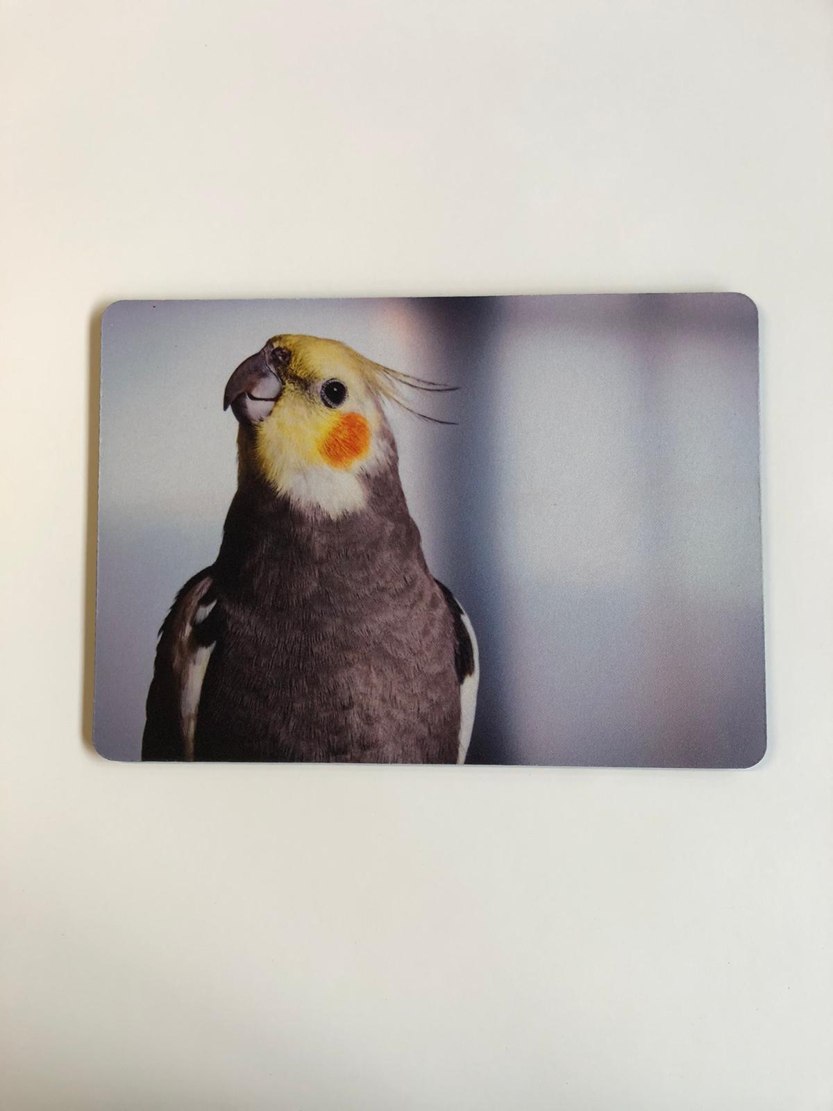 TK09 - Mousepad, Motiv "Nymphensittch"