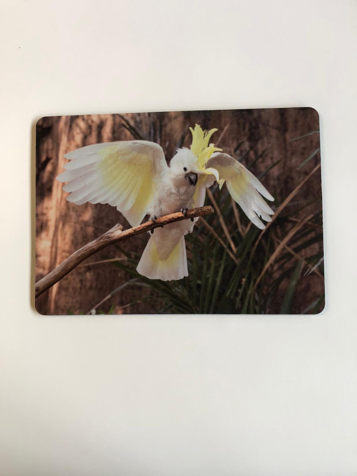 TK07 - Mousepad, Motiv "Kakadu"