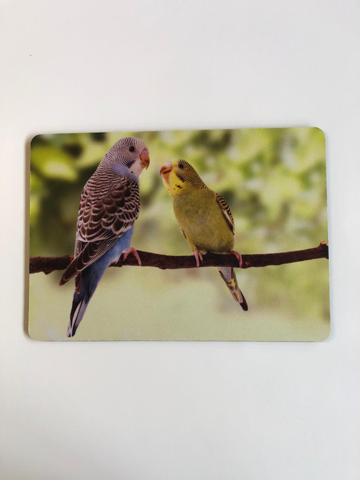 TK05 - Mousepad Motiv "Wellensittich" (blau und grün)