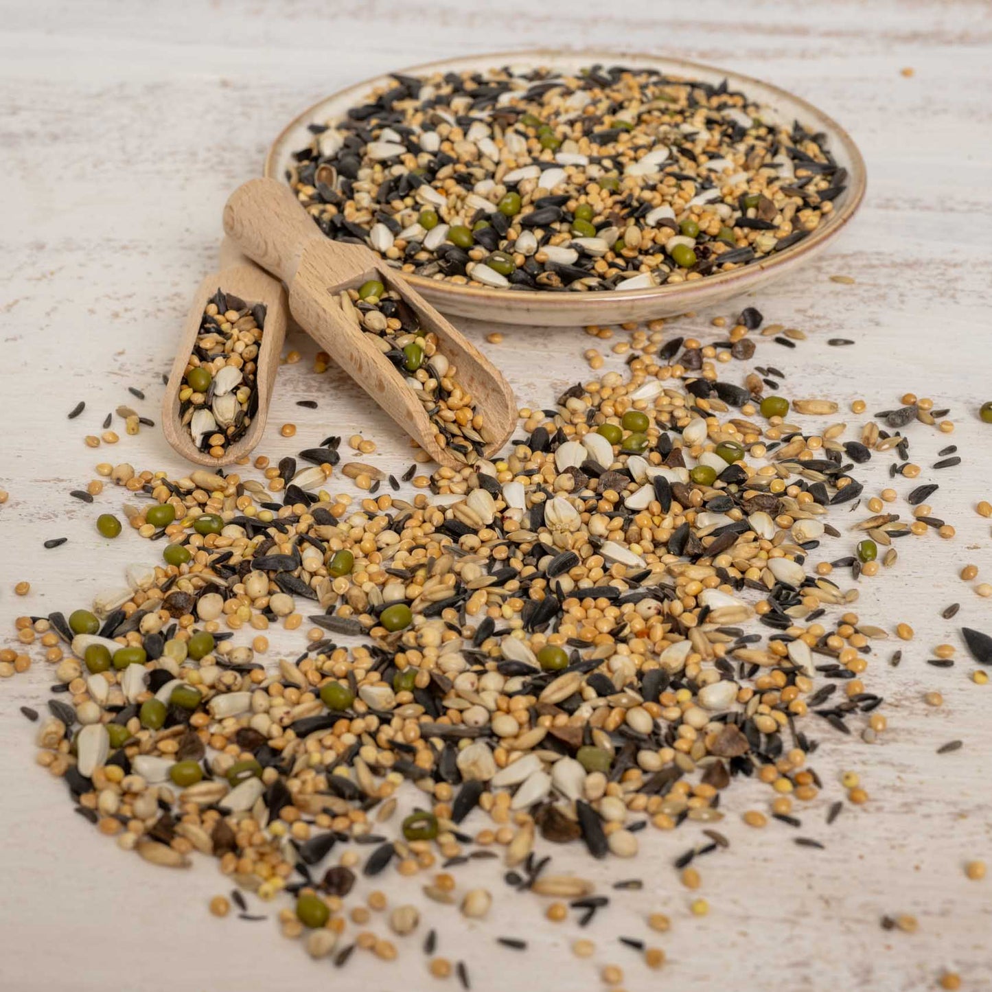 Keimfutter für Kleinsittiche