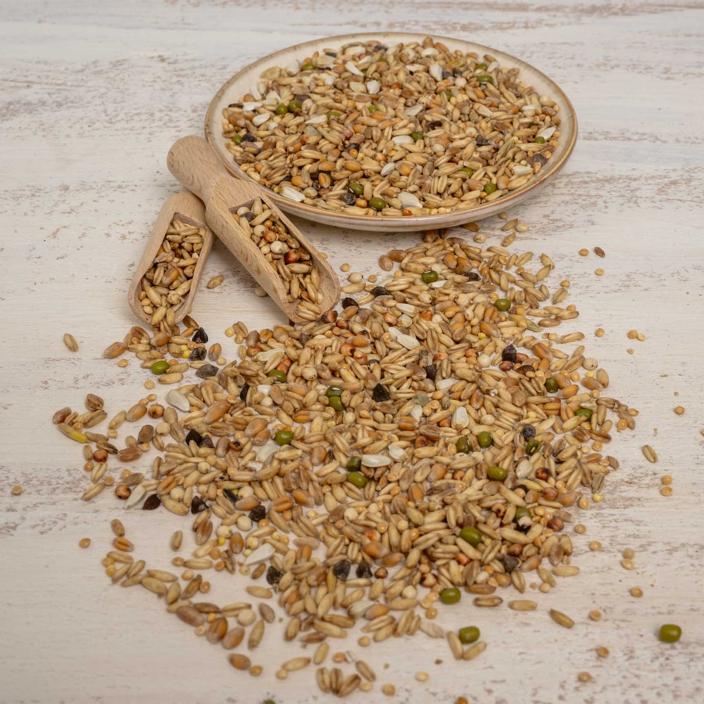 Keimfutter für Sittiche – nährstoffreiche Ergänzung