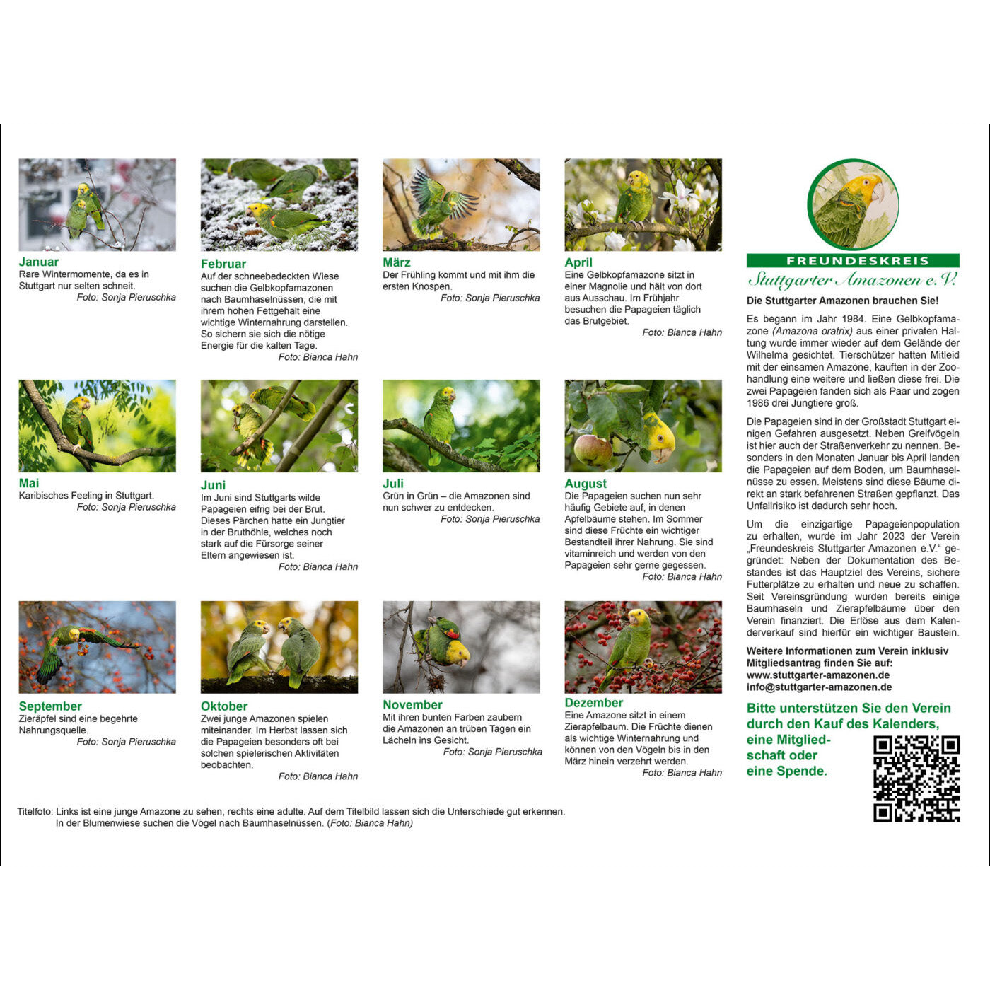 Kalender "Stuttgarter Amazonen" *NEU*