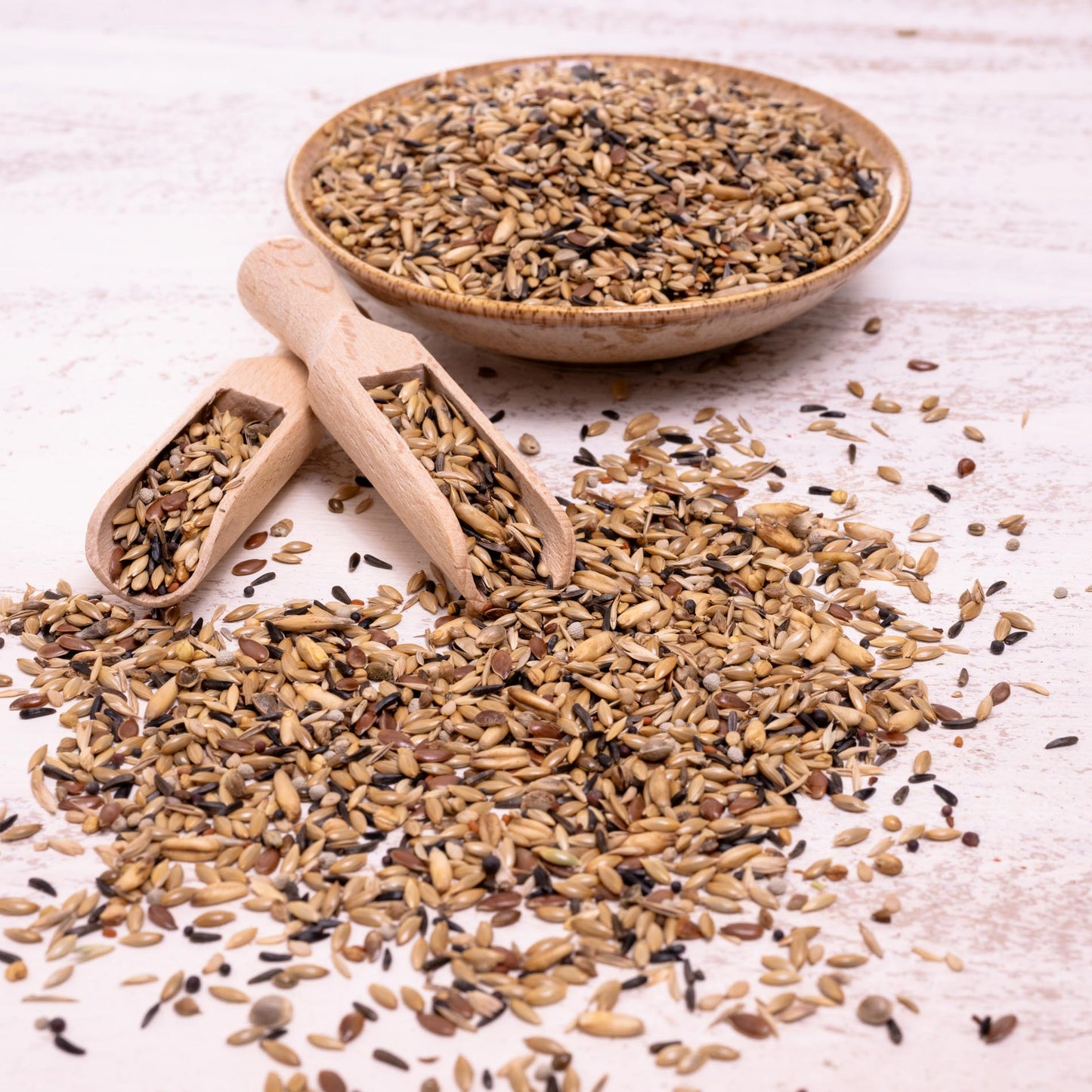 Kanarienfutter – hochwertige Saatenmischung für Kanarienvögel