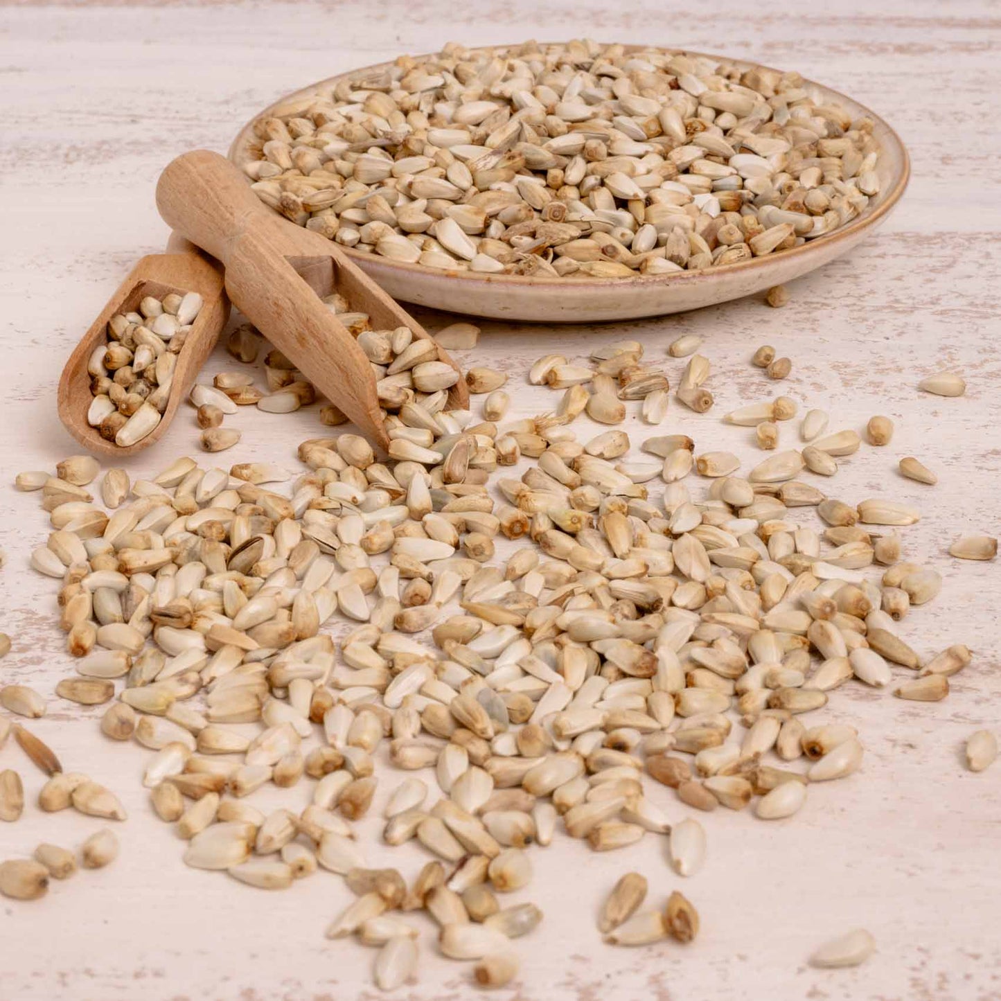 Kardisaat – Papageienfutter