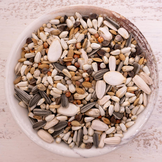 Papageienfutter Kleine Papageien – ausgewogene Premium-Körnermischung