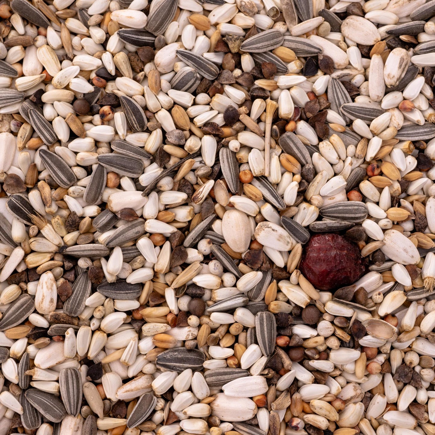 Papageienfutter Kleine Papageien – ausgewogene Premium-Körnermischung