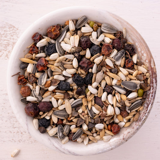 Knusperträume – Premium-Körnermischung & Papageienfutter (Vogelfutter)