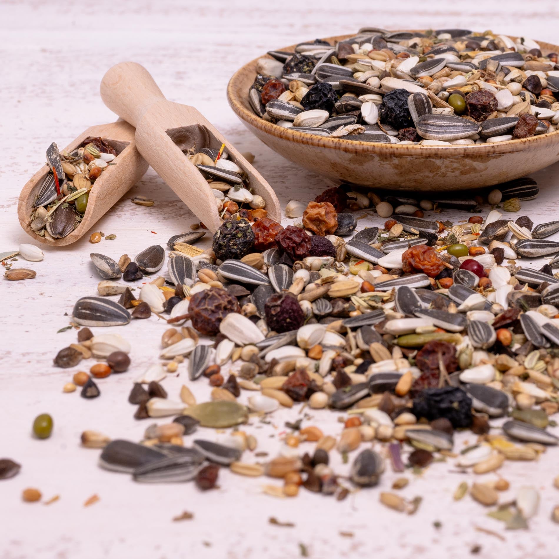 Kräuterapotheke Graupapagei – Papageienfutter mit Kräutern und Beeren