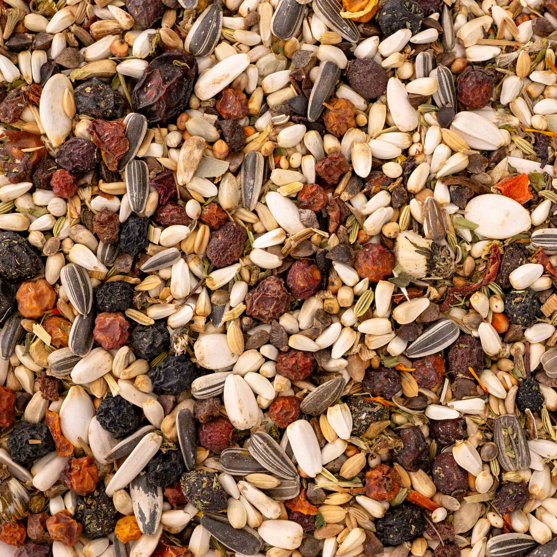 Edelpapagei-Körnermischung mit Gemüse und Kräutern – Papageienfutter