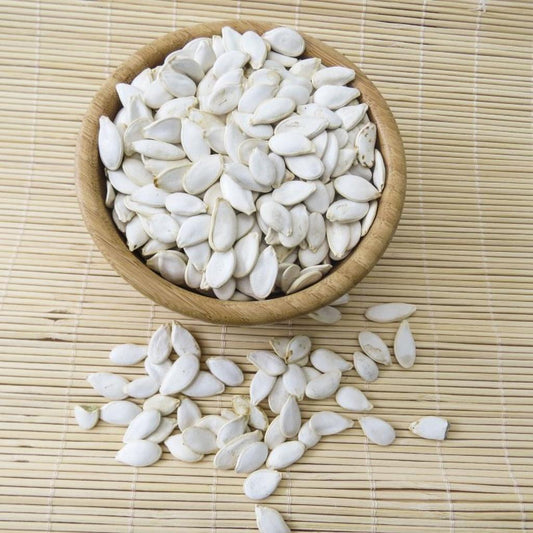 Kürbiskerne – Papageienfutter-Zusatzfuttermittel