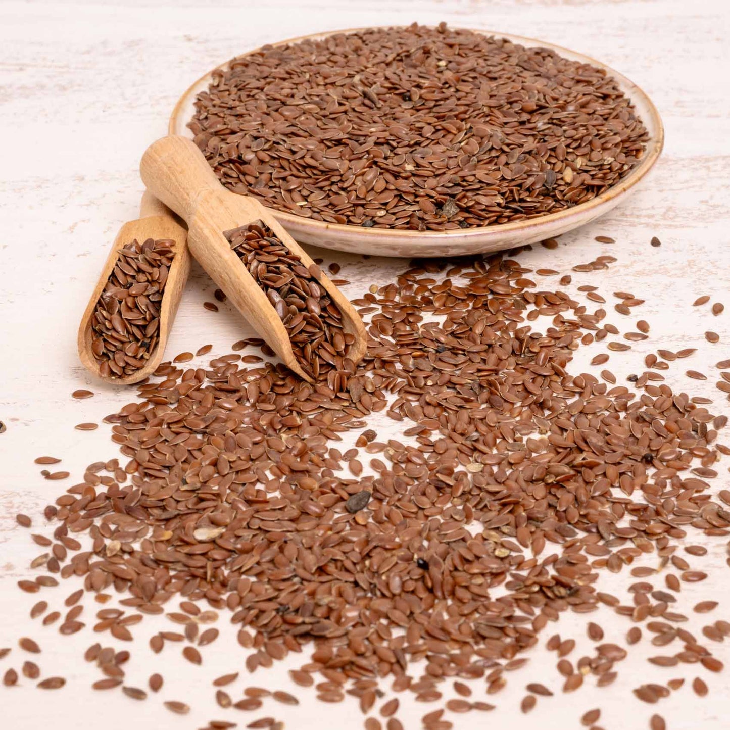 Leinsaat – Papageienfutter