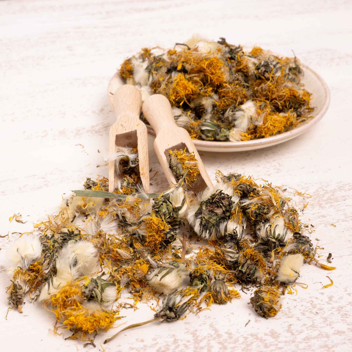 Löwenzahnblüten, getrocknet – Papageienfutter-Zusatzfuttermittel