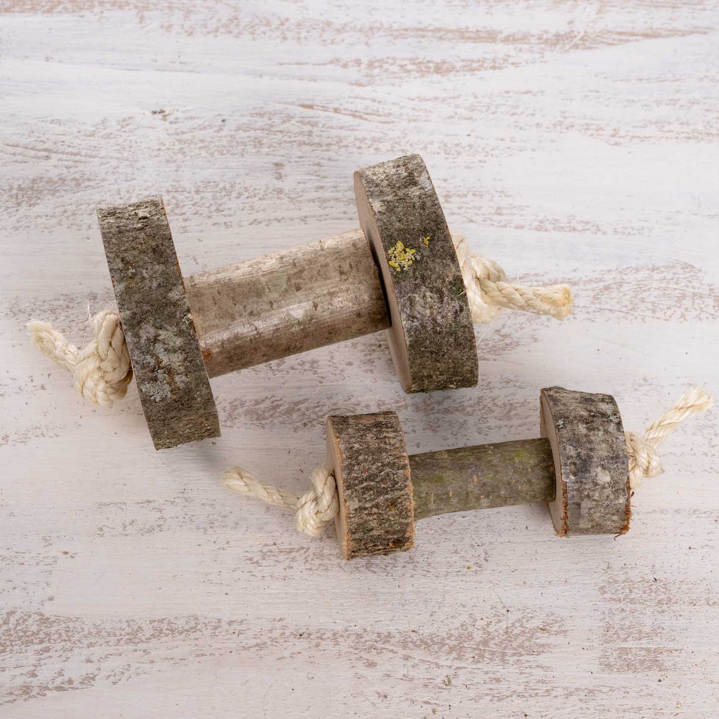 Papageien-Hantel – Robustes Greifspielzeug für Papageien