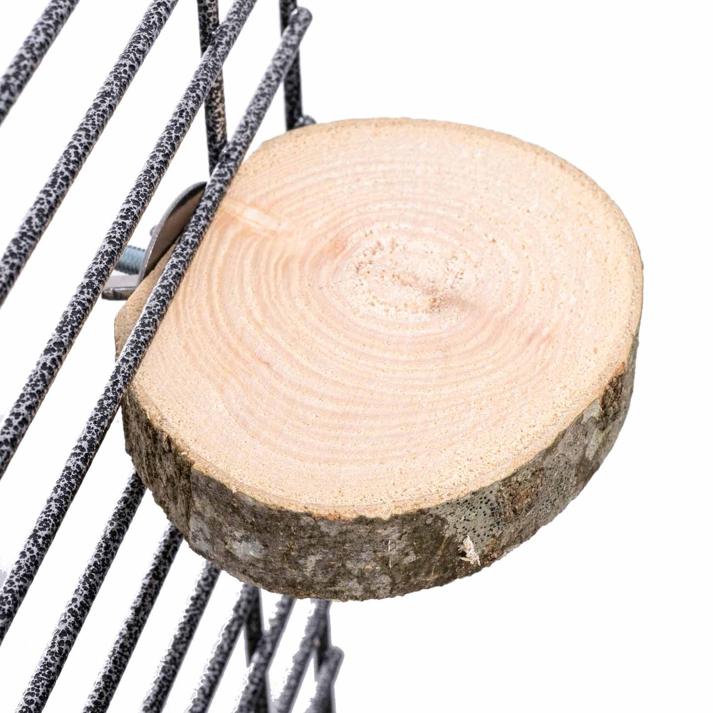 Baumscheiben Sitzbrett für Papageien und Sittiche