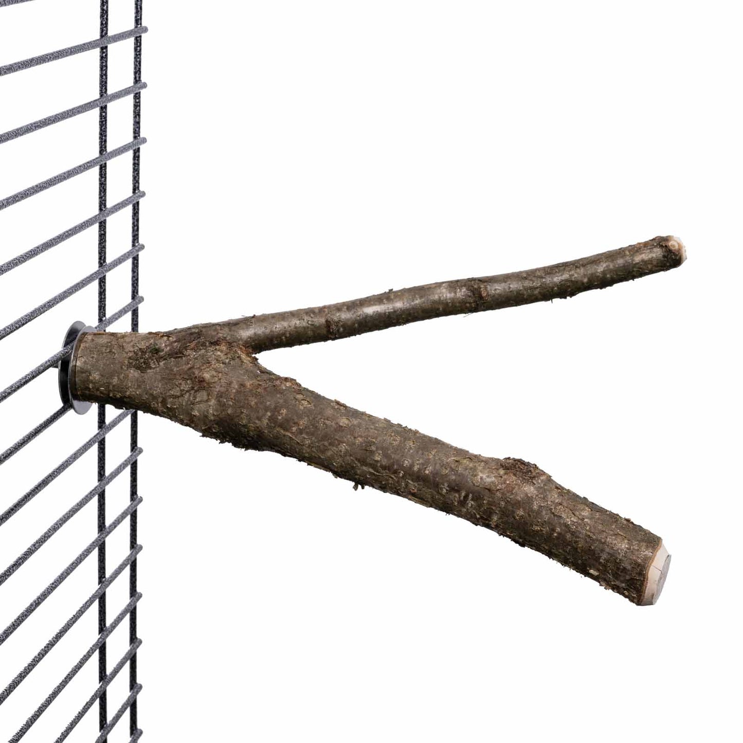 Natursitzstange verzweigt für Papageien und große Sittiche