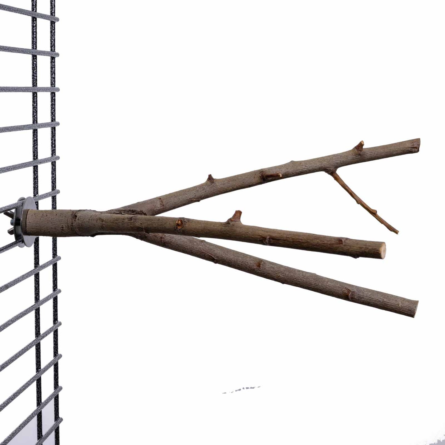 Naturbelassener Sitzast verzweigt klein