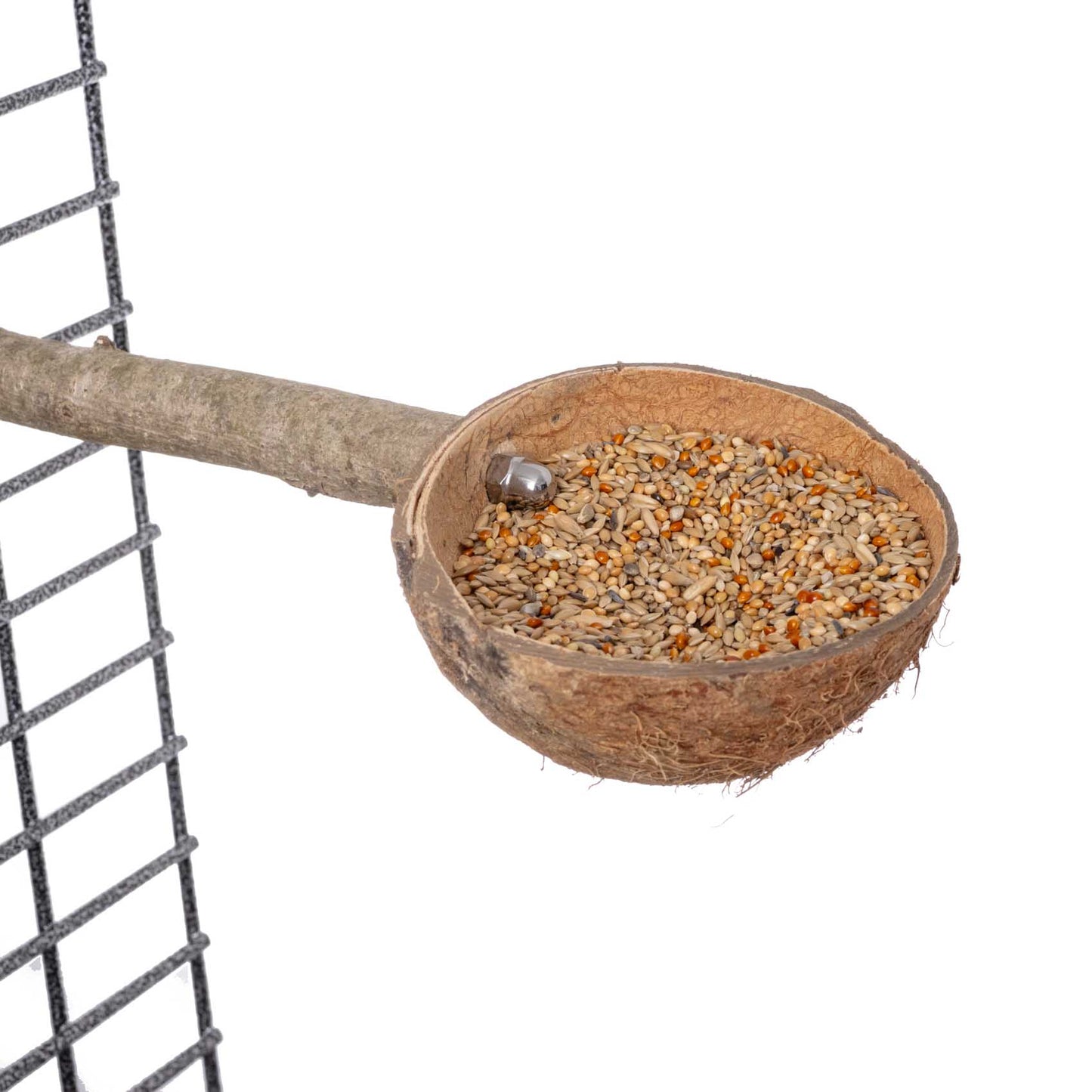 Futterschale aus Kokosnuss für Sittiche