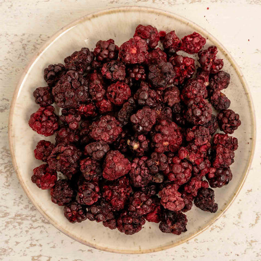 Brombeere (ganze Beere), gefriergetrocknet – Papageienfutter-Zusatzfuttermittel