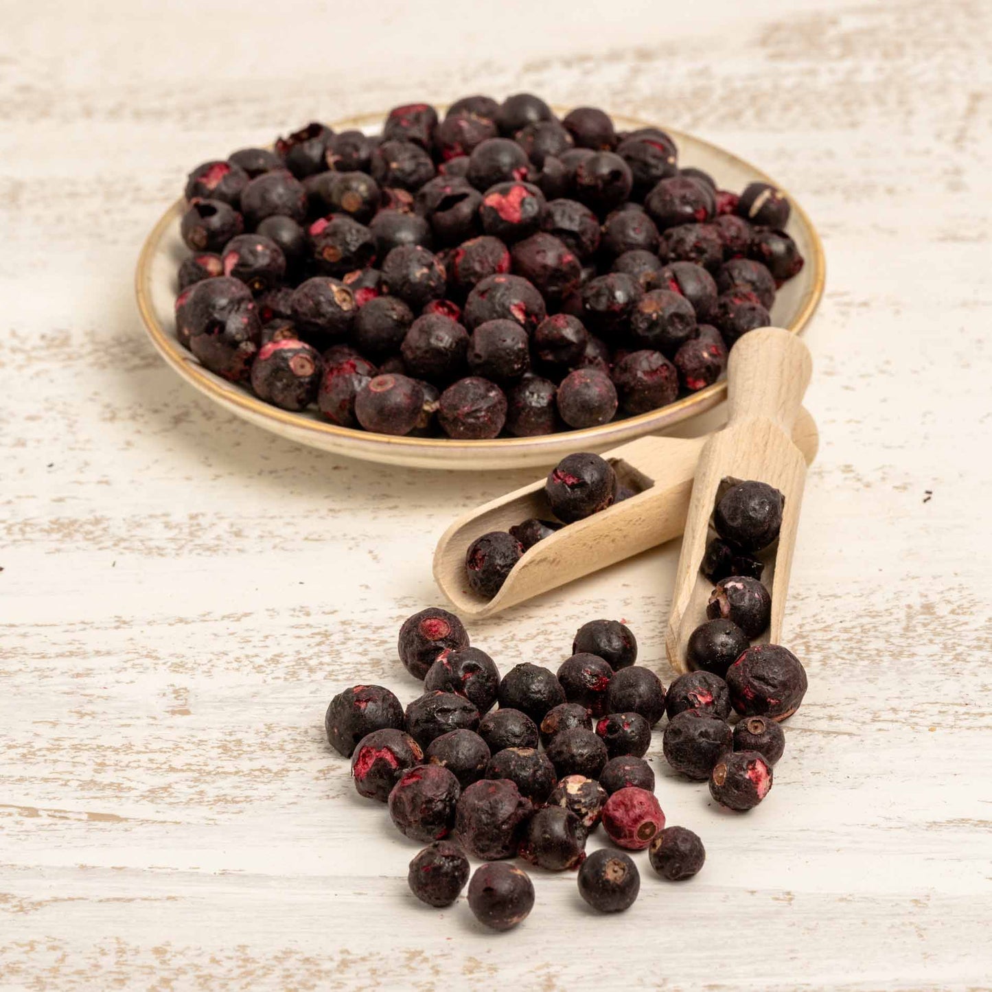 Johannisbeere schwarz (ganze Beere), gefriergetrocknet – Papageienfutter-Zusatzfuttermittel