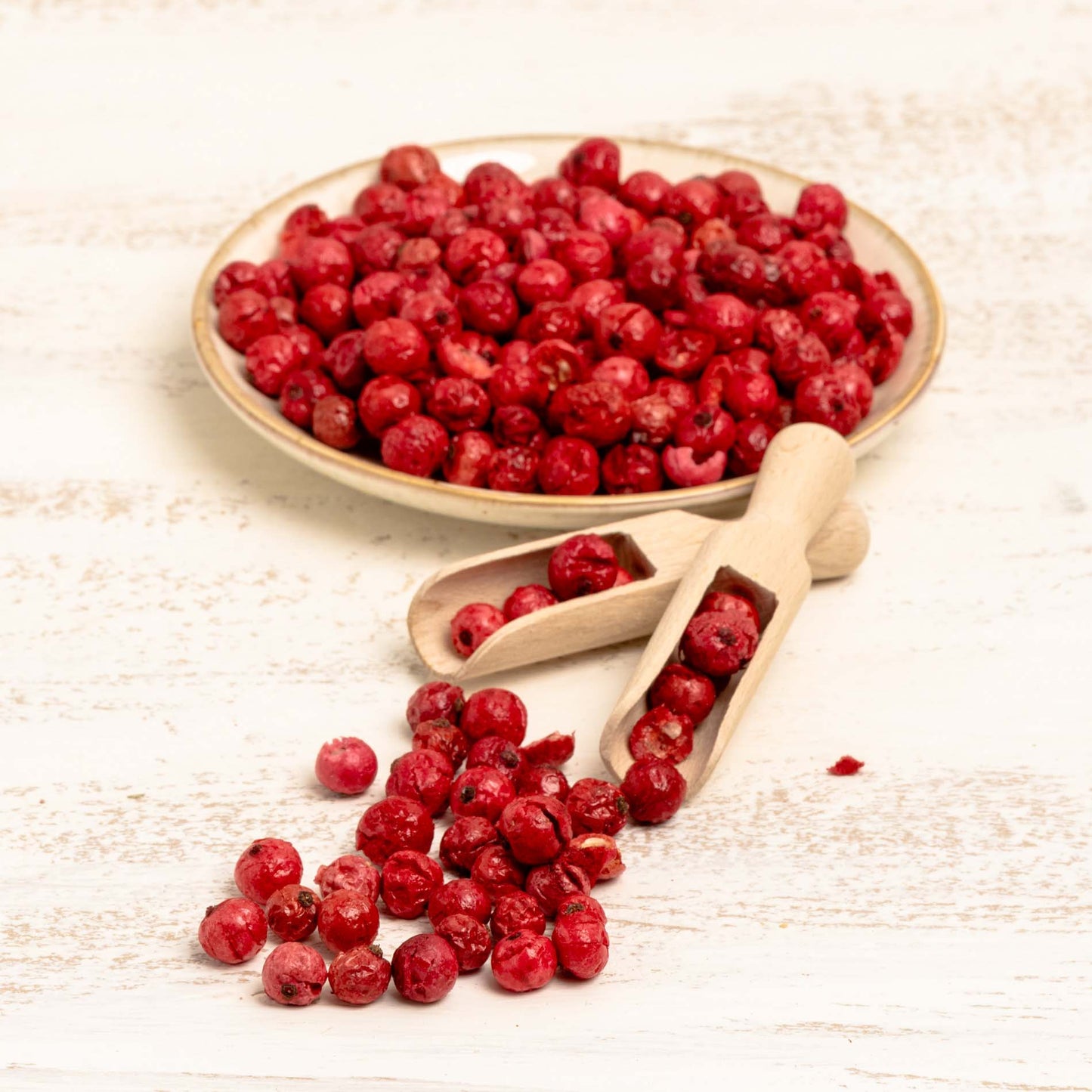 Johannisbeere rot (ganze Beere), gefriergetrocknet – Papageienfutter-Zusatzfuttermittel